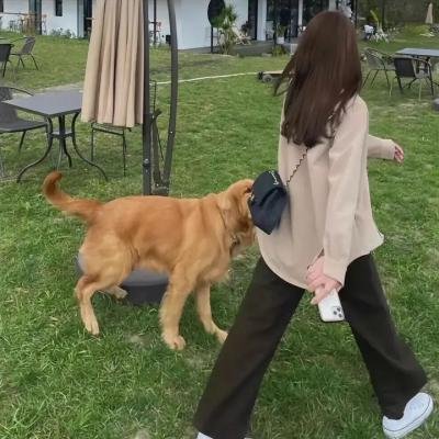 双面艾莉丝